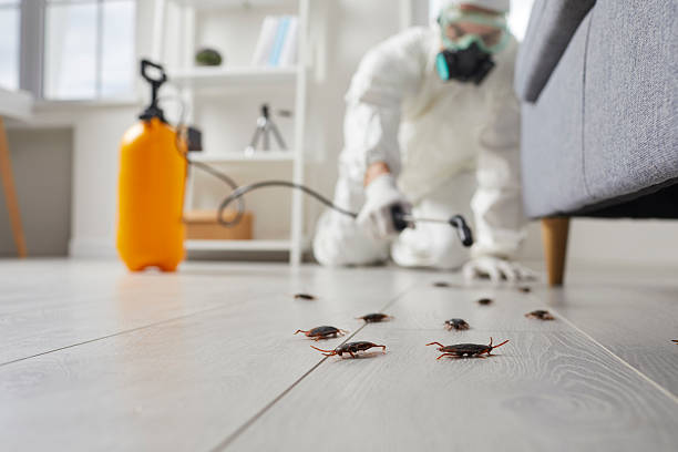 Commercial Kitchen Cockroach Control in Guin