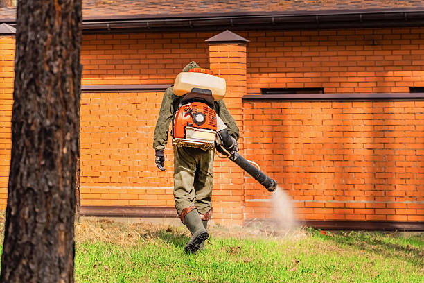 Cockroach Follow-Up and Monitoring in Guin